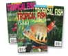 TFH Magazine
